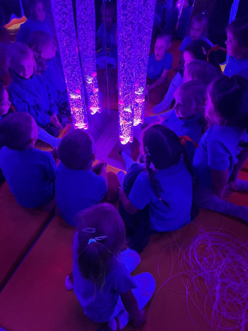 558478762 1343958954407036 3616980103355185124 n